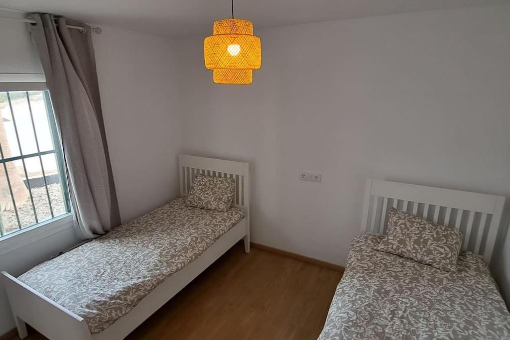科斯塔卡玛Casa Rosalia公寓 外观 照片